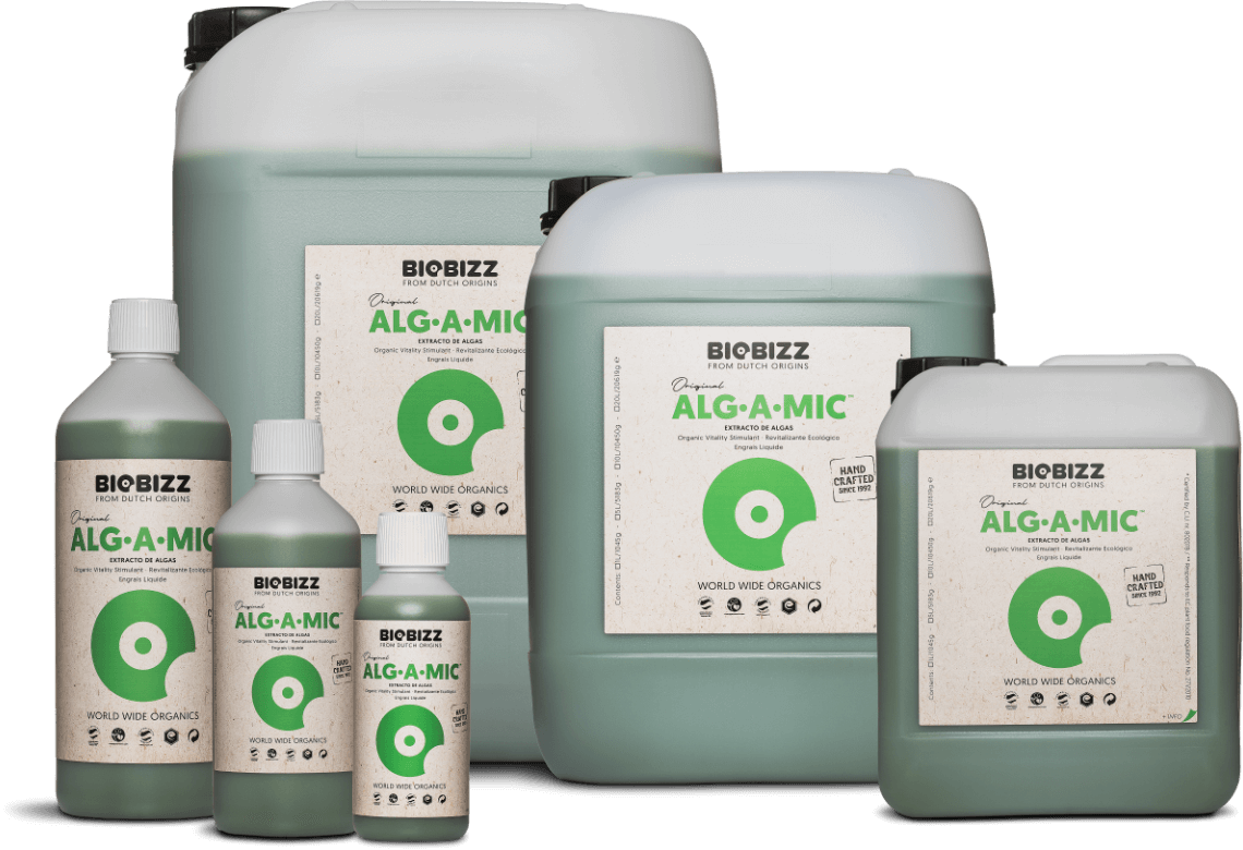 Alg·A·Mic-Family-extrtemadura ALG-A-MIC es un revitalizante ecológico hecho a partir de algas marinas. Elimina el estrés de la planta después de una sobrealimentación, deficiencia, enfermedades de plantas u otras irregularidades de temperatura y humedad. Una planta libre de estrés resulta en frutos más grandes. Además, Alg·A·Mic™ asegura hojas más verdes, al estimular la absorción de clorofila.