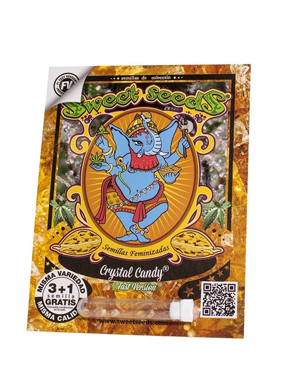 crystal-candy-f1-fast-version-EXTREMADURA Crystal Candy F1 Fast Version cepa fotodependiente de rápida floración de una de las más sabrosas variedades del catálogo, posee el curioso y exquisito aroma dulce que recuerda a chicle de fresa o tiendas de caramelos. Esta planta produce grandes cosechas en poco tiempo, de sus cogollos se pueden obtener extracciones de exquisita calidad y aroma extremadamente agradable.