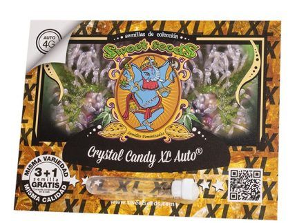 Crystal Candy XL Autofloreciente, una versión XL que resulta una buena productora de resina, con la que obtendrás varias cosechas al año o un cultivo rápido de interior. Crystal Candy XL Auto es una planta fácil de cultivar y delicioso sabor afrutado.