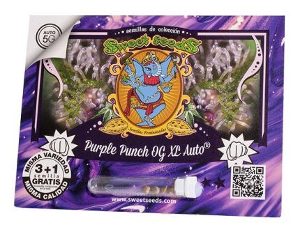 Purple Punch OG es una novedad en el catálogo de Sweet Seeds 2021. Este híbrido de dominancia índica es ideal para los amantes de las variedades relajantes. Es una planta productora de resina, perfecta para realizar extracciones en seco, que además se vuelve morada durante la floración.