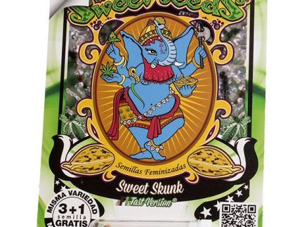 Sweet Skunk F1 Fast Version de Sweet Seeds planta fotodependiente, de floración ultrarrápida, de una de las familias cannábicas más famosas de todos los tiempos. El aroma de esta variedad es muy dulce y especiado dentro del clásico y apreciado aroma de la familia Skunk. Produce gruesos cogollos cargados de abundante y aromática resina.