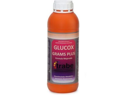 Glucox Grams Plus es un bioestimulador que aporta un plus de azúcares y carbohidratos para mejorar de forma masiva las propiedades organolépticas de los frutos. Además, optimiza el proceso de secado, reduciendo la excesiva pérdida de agua y aumentando el tamaño y el peso de las flores