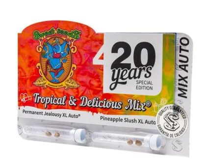 2 semillas de Pineapple Slush XL Auto® 2 semillas de Permanent Jealousy XL Auto®