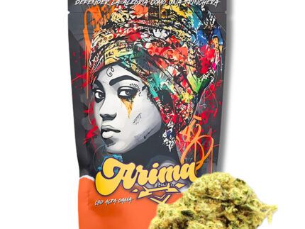 Flor CBD Amnesia Indoor – Pureza y Potencia en Cada Cogollo Optimiza tu bienestar con la Flor CBD Amnesia Indoor: calidad garantizada, aroma excepcional y efectos relajantes. ¡Pídela ahora y transforma tu experiencia con el CBD!