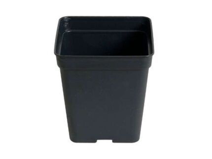 Maceta 13 x 13 x 14 cm negra. Maceta de 2 litros, indicada para los primeros ciclos vitales de nuestra planta, de tamaño reducido recomendada para el enraizamiento de esquejes o para semillas ya germinadas.