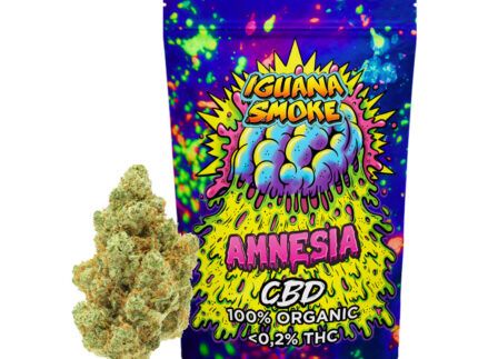 La Flor Amnesia CBD destaca por su aroma cítrico y herbal, ideal para quienes buscan un CBD de calidad con perfil aromático intenso.