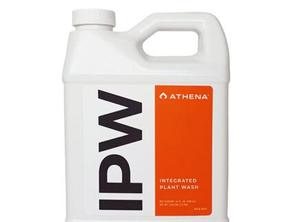 Athena IPW es un tratamiento eficaz contra muchos insectos de cuerpo blando, como la mosca blanca, la araña roja y los pulgones, la mosca blanca, la araña roja y los pulgones. Trata adultos, ninfas, larvas y huevos, larvas y huevos. Mata por contacto. También es eficaz en el tratamiento de infecciones fúngicas comunes como el oídio.