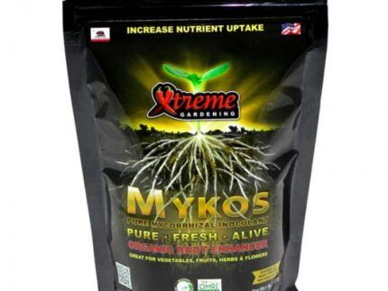 Mykos, micorrizas en grano. Se ha demostrado que las micorrizas aumentan la disponibilidad de nutrientes y la humedad, ambos requeridos durante el crecimiento de la planta