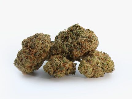 GMO Cookies CBD es una flor aromática e intensa, con carácter profundo y efecto relajante equilibrado para una experiencia natural y sin psicoactividad.