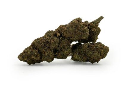 Mimosa CBD ofrece un aroma cítrico y dulce con matices florales, proporcionando una experiencia fresca, vibrante y equilibrada.