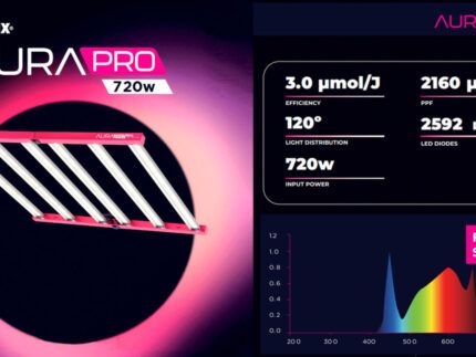 El Sistema LED Aura Pro 3.2 de Solux es una luminaria horticultural de 720W desarrollada para cultivadores que buscan una solución de alto rendimiento, homogénea y preparada tanto para proyectos profesionales como para instalaciones exigentes de cultivo interior. Su diseño de 6 barras LED favorece una distribución uniforme de la luz sobre la superficie de cultivo, ayudando a mejorar la penetración lumínica y a aprovechar mejor cada área útil de la sala o del armario