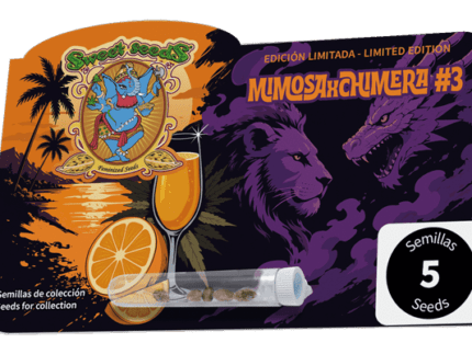 Con el sello de innovación del Departamento de I+D+i de Sweet Seeds®, nace una Edición Limitada desarrollada a partir de dos genéticas de clase mundial: Mimosa y Chimera #3. Mimosa aporta su prestigiosa herencia Clementine x Purple Punch, de marcada expresión cítrica y frutal, y Chimera #3 suma producción de resina, complejidad aromática y un gran atractivo visual en las flores.