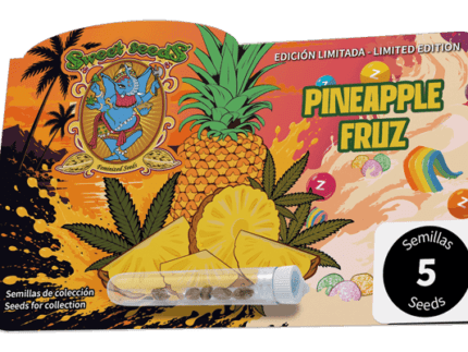  La variedad pineapple fruz de sweet seeds parte  de una selección de la variedad Pineapple Fruz (Animal Mints Bx1 x Z Bx1), orientada a expresar su perfil más aromático, resinoso y atractivo. De Animal Mints hereda su potencia y una presencia contundente, mientras que la línea Z aporta una expresión dulce, tropical y muy reconocible.