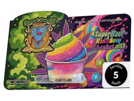 Con esta creación, los breeders de Sweet Seeds reúnen dos perfiles estadounidenses de gran proyección, seleccionados por su resina, su aroma y su efecto equilibrado. Super Boof, reconocida por Leafly como Strain of the Year 2024, aporta su herencia Black Cherry Punch x Tropicana Cookies, con tonos de cereza, cítricos y fruta madura. RS11 suma matices dulces, ácidos y especiados, un marcado atractivo visual y una experiencia relajante con la mente lúcida.