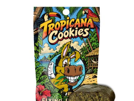 El CBD Hash Tropicana Cookies de Flying Burrito destaca por su perfil aromático afrutado y cítrico, con notas dulces y matices herbales que aportan un carácter fresco y distintivo. Su textura compacta y resinosa ofrece una presentación cuidada, inspirada en los perfiles aromáticos clásicos de la familia Cookies.