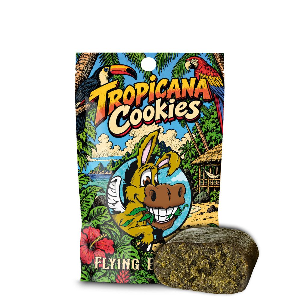 Cbd--Hash-Flying-Burrito-Tropicana-Cookies--2-gr-EXTREMADURA El CBD Hash Tropicana Cookies de Flying Burrito destaca por su perfil aromático afrutado y cítrico, con notas dulces y matices herbales que aportan un carácter fresco y distintivo. Su textura compacta y resinosa ofrece una presentación cuidada, inspirada en los perfiles aromáticos clásicos de la familia Cookies.