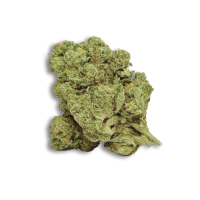 AMNESIA-IND-arima-cbd-extremadura