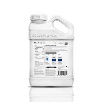 Athena-1-fade-extremadura
