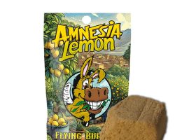 En resumen, el CBD Hash Flying Burrito Amnesia Lemon es una opción excelente para quienes buscan disfrutar de los beneficios del CBD