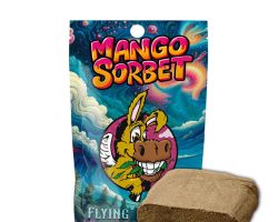 CBD Hash Mango Sorbet, una variedad premium de hachís CBD que combina un intenso sabor a mango con los efectos relajantes del cannabidiol. El