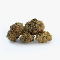 GMO Cookies CBD es una flor aromática e intensa, con carácter profundo y efecto relajante equilibrado para una experiencia natural y sin psicoactividad.