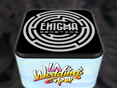 enigma-genetic-extremadura