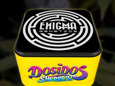 enigma-genetics-1-extremadura