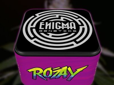 enigma-genetics-extremadura