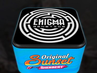 enigma genetics-extremadura