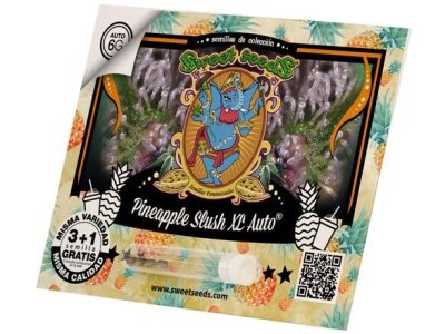  Autoflorecientes Auto 6G 50% Indica / 50% Sativa Pineapple Express x Sweet Mandarine Zkittlez XL Auto Esta genética combina lo mejor de sus parentales, tanto en efecto como en los demás caracteres deseables, resultando en una variedad única con un perfil organoléptico exótico y envolvente. Pineapple Slush XL Auto es una variedad autofloreciente de fácil cultivo y crecimiento rápido, que produce plantas robustas con aromas frutados y alto contenido de THC.